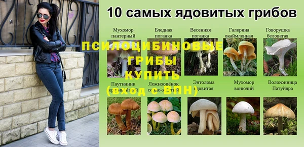 apvp Нягань