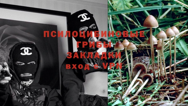 тгк Арсеньев