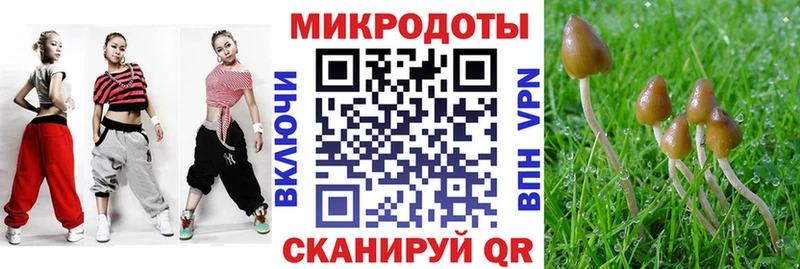 Галлюциногенные грибы мухоморы  мега маркетплейс  даркнет наркотические препараты  Славск 