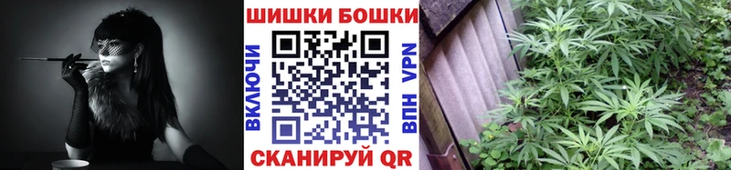 дарнет шоп  Славск  Конопля семена 